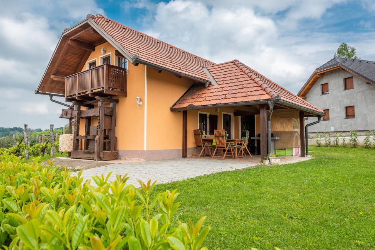 Wineyard Getaway House Villa Sevnica Exterior foto
